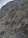 安徽岩石矿山边坡生态修复绿化喷播保水剂粘合剂