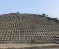 海南巖石邊坡修復綠化噴播土壤團粒劑廠家直銷