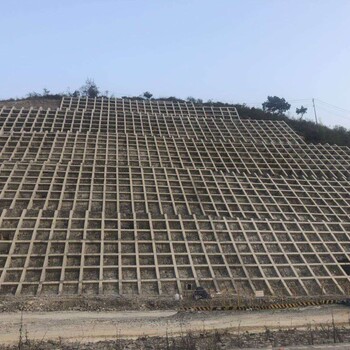 湖北日本SF团粒喷播绿化技术团粒剂稳定剂