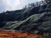 安徽矿山边坡修复绿化工程土壤团粒剂