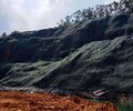 安徽矿山边坡修复绿化工程土壤团粒剂