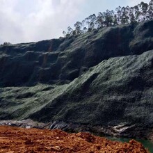 安徽矿山边坡修复绿化工程土壤团粒剂图片