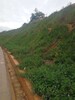 贵州公路铁路土石边坡绿化土壤粘合剂