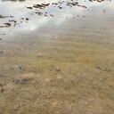 寧夏黑臭水體河道生態(tài)修復(fù)底質(zhì)改良劑批發(fā)銷售
