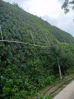 山西草坪建植养护土壤抗旱保水剂厂家批发