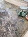 黑龙江城市黑臭水体底泥生态修复团粒结构改良剂