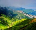 安徽礦山生態修復綠化抗旱保水劑批發銷售