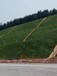 湖北采石矿业边坡修复绿化喷播团粒剂