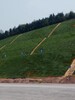 湖北采石礦業邊坡修復綠化噴播團粒劑