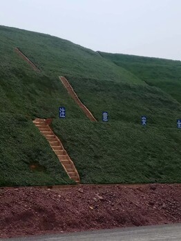 安徽河道护坡绿化生态基材喷播技术材料