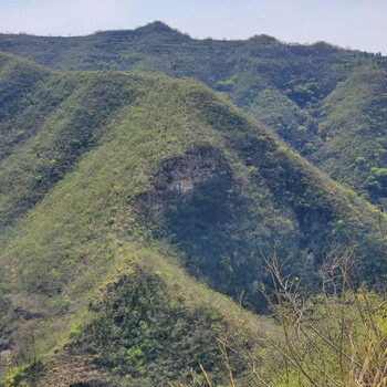 江西矿山植被恢复绿化保水剂批发销售