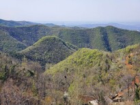 宁夏公路河道护坡绿化工程土壤粘合剂批发销售图片0