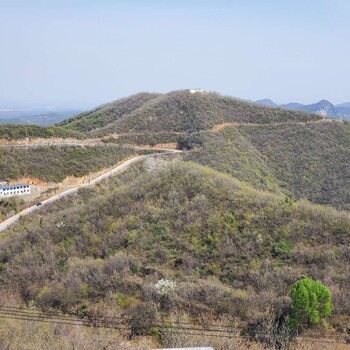 河南路騰生態(tài)修復SF噴播綠化技術團粒劑銷售處
