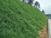 湖南法國愛森SNF邊坡綠化A30土壤粘合劑