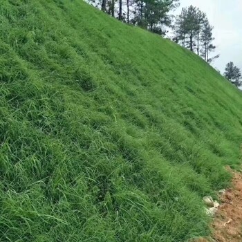 青海废弃矿山生态修复工程土壤保水剂批发销售