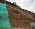 云南礦山巖石邊坡修復綠化工程團粒劑