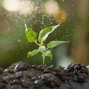 辽宁植物花卉土壤固体水抗旱保水剂