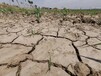 吉林水土流失沙漠治理土壤粘合劑