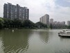 浙江城市黑臭水体底泥生态修复技术底质改良剂