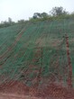 白山廢棄礦山邊坡修復綠化土壤團粒劑圖片