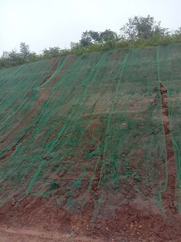 湘西矿山生态修复边坡绿化土壤粘合剂