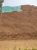 長沙噴播綠化工程土壤增活有機基質價格