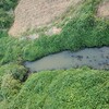 上海城市污染河道修復水體凈化劑