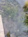 安徽城市污染河道底泥原位修复剂