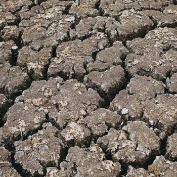 甘肃沙漠治理工程沙土改良剂