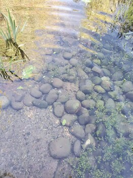 重庆污染河道生态快速水体净化剂