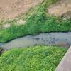 河北污染河道治理工程底泥重金屬捕集劑