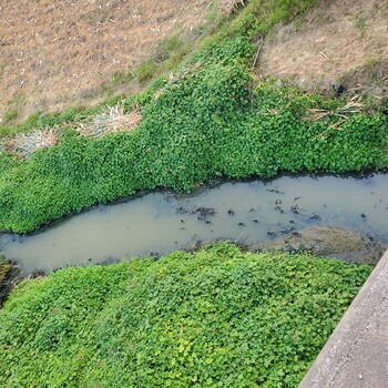 海南黑臭河道修复技术工程底泥改良剂