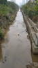 淮安水生態環境治理河道原位底泥修復劑