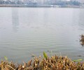 郴州河道生態修復工程底泥修復劑