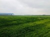 武漢日本SF團粒噴播綠化技術土壤穩定劑