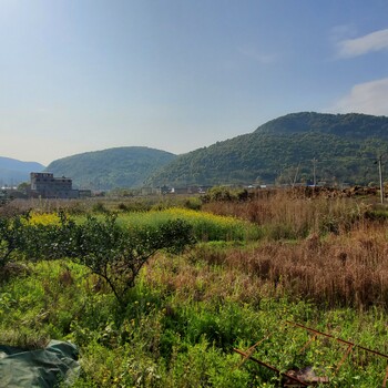 四川山體滑坡生態(tài)修復團粒噴播綠化技術(shù)