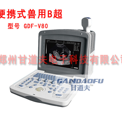 牛用背膘仪厂家报价，甘道夫牛用超声波测膘仪GDF-V80