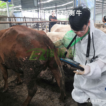 河北母牛怀孕检测仪价格