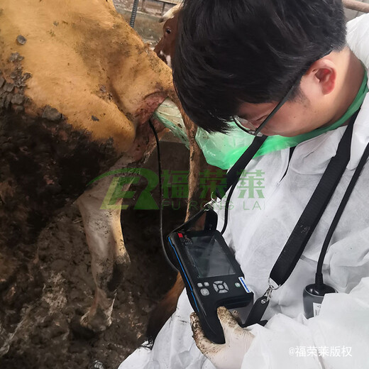 母牛测孕仪器C20牛用B超测孕仪报价