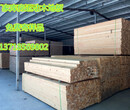 湖南长沙篮球木地板施工工艺体育运动木地板厂家运动木地板