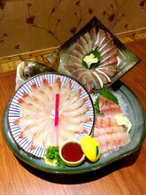 寿司加盟，日本料理加盟