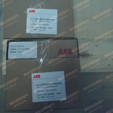 ABB避雷器计数器及在线检测装置SAA-SAM2图片