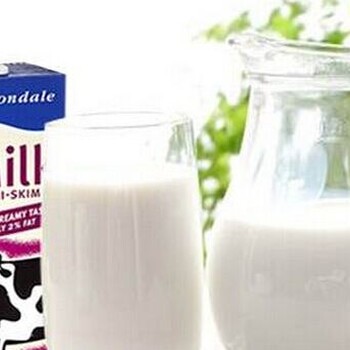 荷兰牛奶进口报关代理公司