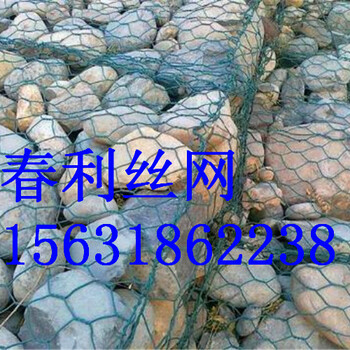 石籠網(wǎng)鐵絲網(wǎng)直立式生態(tài)護岸行業(yè)