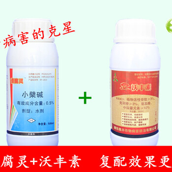 花椒樹流膠病用什么藥效果好對癥治療花椒樹流膠病事半功倍