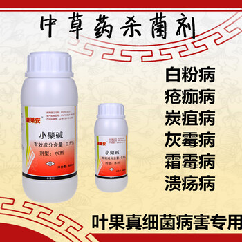 核桃炭疽病藥防治技術(shù)立體防治