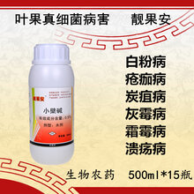 治疗芒果角斑病用什么药芒果角斑病特效药图片