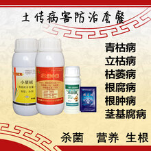 防治生姜姜瘟病和生姜茎基腐病特效药青枯立克地力旺图片
