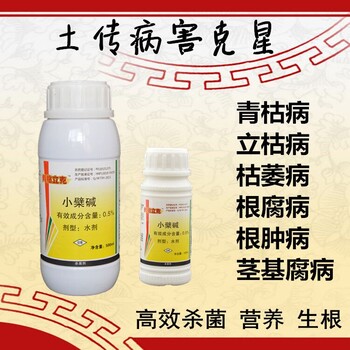 草莓出现草莓枯黄萎病这样防治省时省力