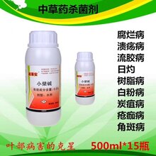 桃树高发病害桃树穿孔病症状危害及最新防治要点图片
